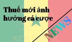 Thuế mới ảnh hưởng cá cược Senegal